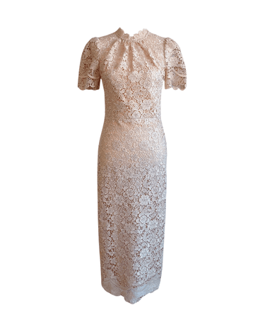 Shoshanna(ショシャンナ)のミディドレス結婚式やパーティーにぴったりのレンタルアイテム。