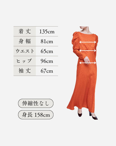 Saloni（サローニ）のロングドレス結婚式やパーティーにぴったりのレンタルアイテム。