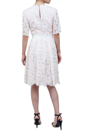 Ted Baker（テッド ベーカー）のひざ丈ドレス結婚式やパーティーにぴったりのレンタルアイテム。