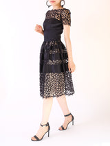 Temperley London（テンパリー ロンドン）のミディドレス結婚式やパーティーにぴったりのレンタルアイテム。